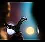 Filename=146.jpg
Filesize=110KiB
Dimensions=1920x1080
Date added=May 03, 2018 146.jpg