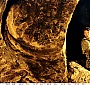 Filename=012.jpg
Filesize=470KiB
Dimensions=1450x1010
Date added=Sep 01, 2012 012.jpg