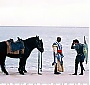 Filename=017.jpg
Filesize=263KiB
Dimensions=1460x1030
Date added=Sep 01, 2012 017.jpg