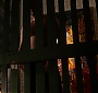 Filename=257.jpg
Filesize=134KiB
Dimensions=1920x1080
Date added=Mar 17, 2017 257.jpg