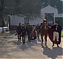 Filename=367.jpg
Filesize=250KiB
Dimensions=1920x1080
Date added=Jun 17, 2016 367.jpg