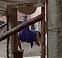 Filename=418.jpg
Filesize=241KiB
Dimensions=1920x1080
Date added=Jun 17, 2016 418.jpg