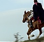 Filename=498.jpg
Filesize=188KiB
Dimensions=1920x1080
Date added=Jun 17, 2016 498.jpg