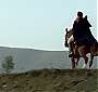 Filename=499.jpg
Filesize=177KiB
Dimensions=1920x1080
Date added=Jun 17, 2016 499.jpg