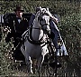 Filename=1056.jpg
Filesize=147KiB
Dimensions=768x576
Date added=Jul 19, 2016 1056.jpg