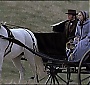 Filename=1063.jpg
Filesize=109KiB
Dimensions=768x576
Date added=Jul 19, 2016 1063.jpg