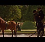 Filename=402.jpg
Filesize=74KiB
Dimensions=1024x576
Date added=Sep 10, 2012 402.jpg