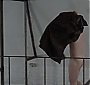 Filename=185.jpg
Filesize=80KiB
Dimensions=1024x576
Date added=May 19, 2018 185.jpg